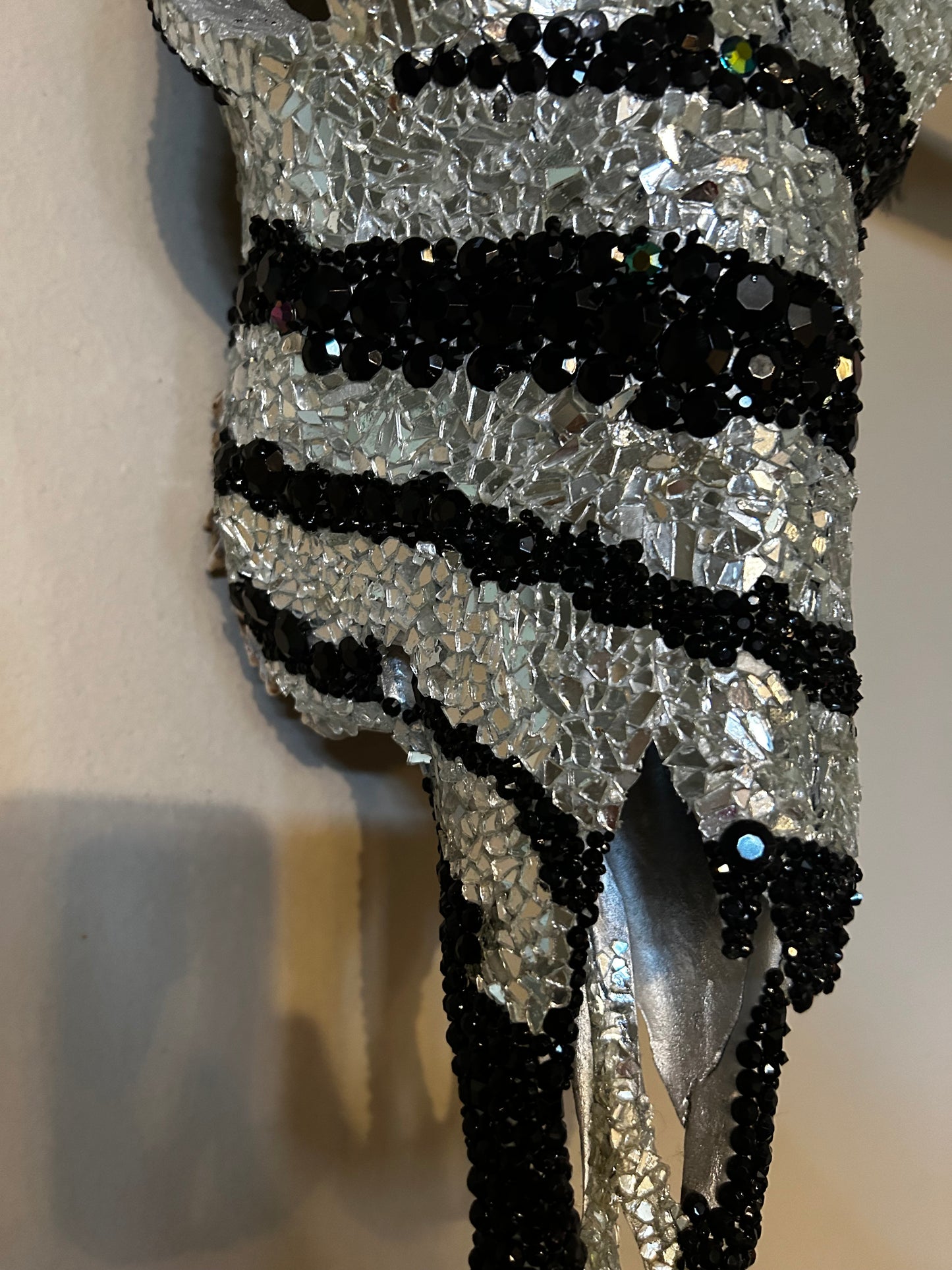 Zebra Longhorn Skull