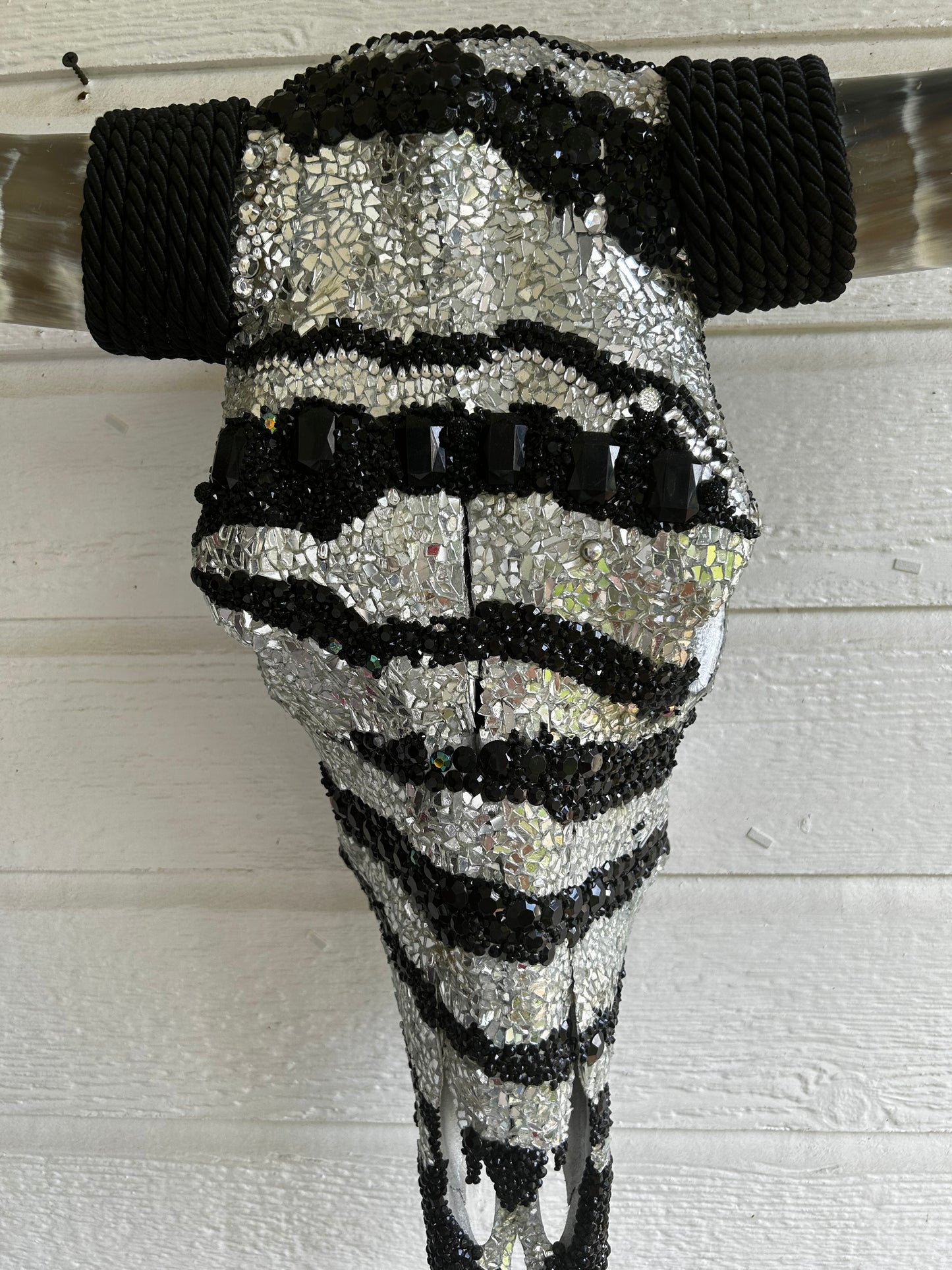 Zebra Longhorn Skull