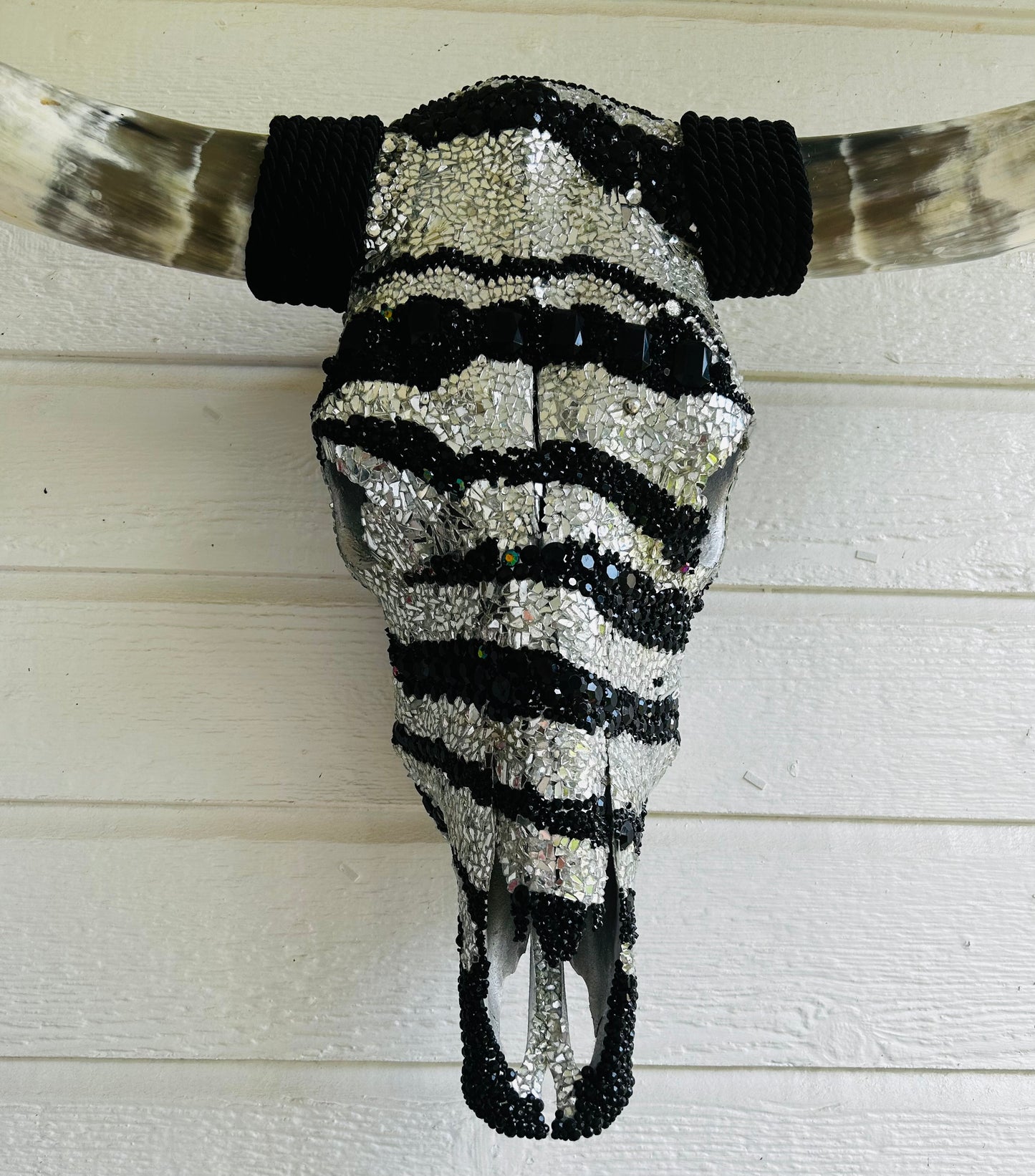 Zebra Longhorn Skull