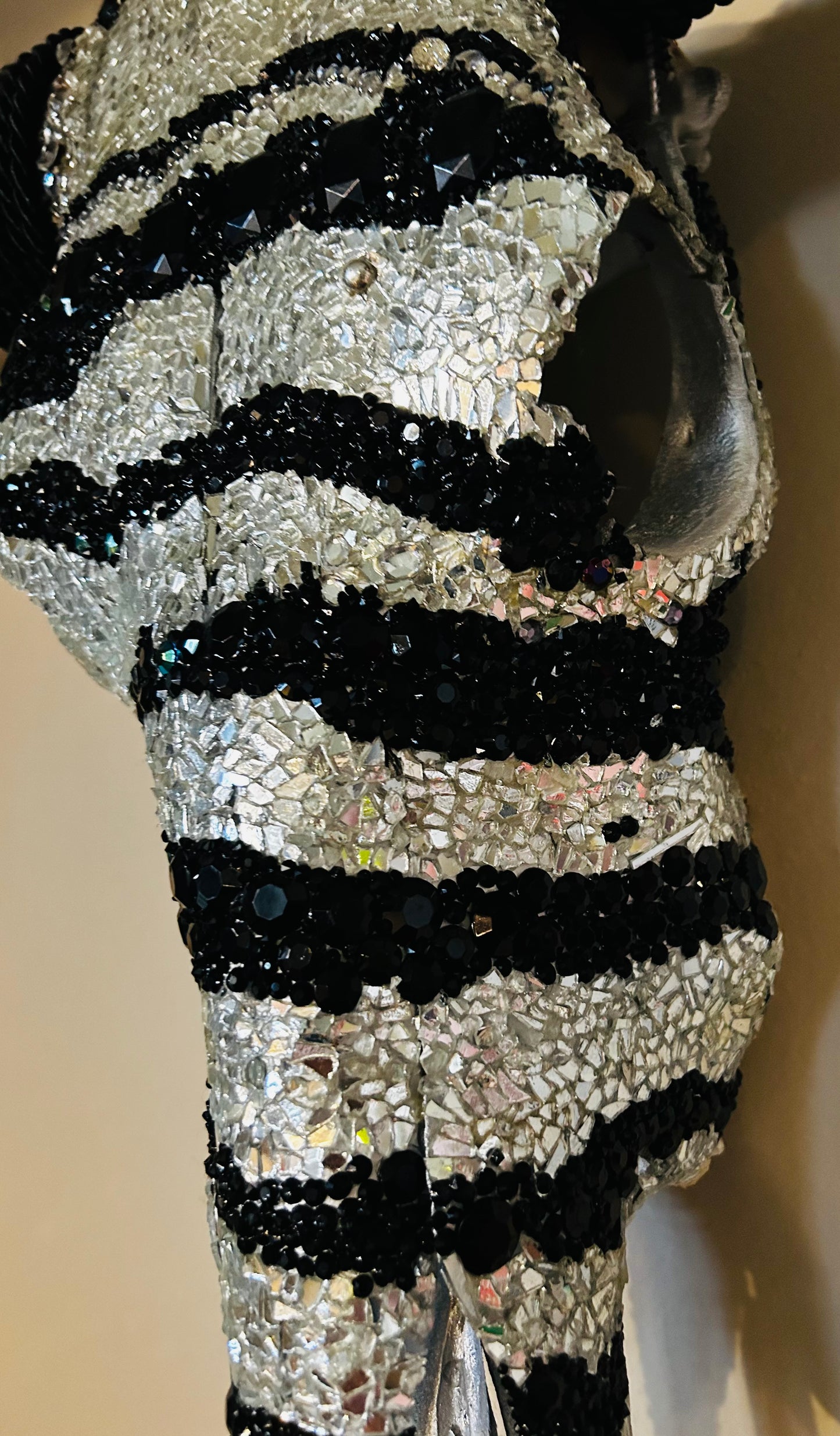 Zebra Longhorn Skull